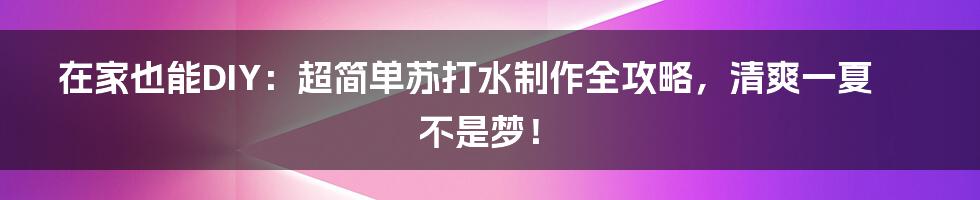 在家也能DIY:超简单苏打水制作全攻略,清爽一夏不是梦!