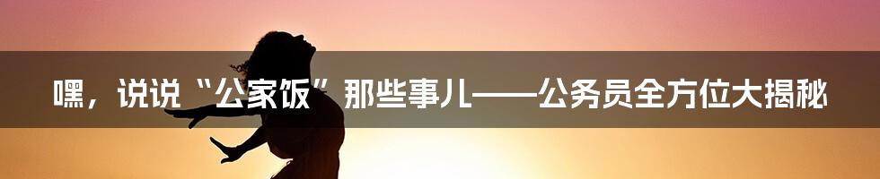 嘿,说说“公家饭”那些事儿——公务员全方位大揭秘