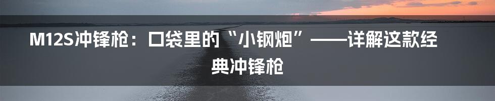 M12S冲锋枪:口袋里的“小钢炮”——详解这款经典冲锋枪