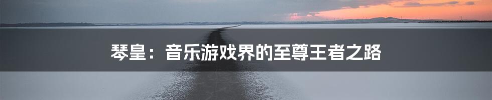 琴皇：音乐游戏界的至尊王者之路