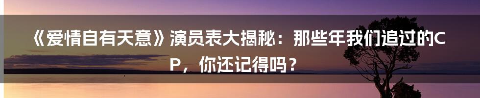 《爱情自有天意》演员表大揭秘：那些年我们追过的CP，你还记得吗？