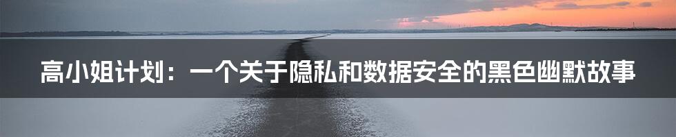 高小姐计划:一个关于隐私和数据安全的黑色幽默故事
