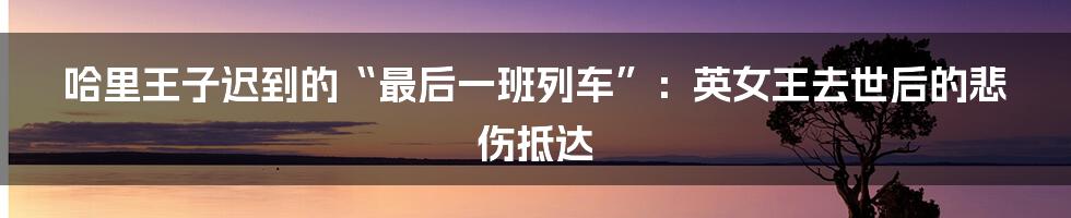 哈里王子迟到的“最后一班列车”:英女王去世后的悲伤抵达