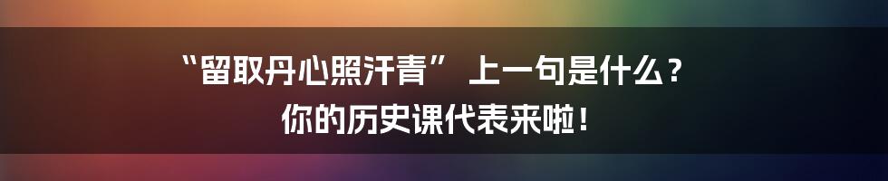 “留取丹心照汗青” 上一句是什么? 你的历史课代表来啦!
