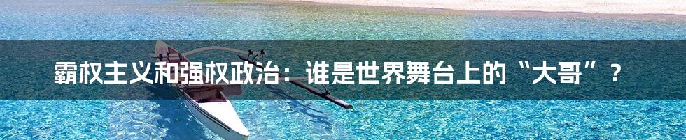 霸权主义和强权政治:谁是世界舞台上的“大哥”?