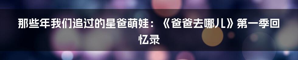 那些年我们追过的星爸萌娃：《爸爸去哪儿》第一季回忆录