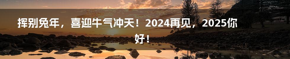 挥别兔年，喜迎牛气冲天！2024再见，2025你好！