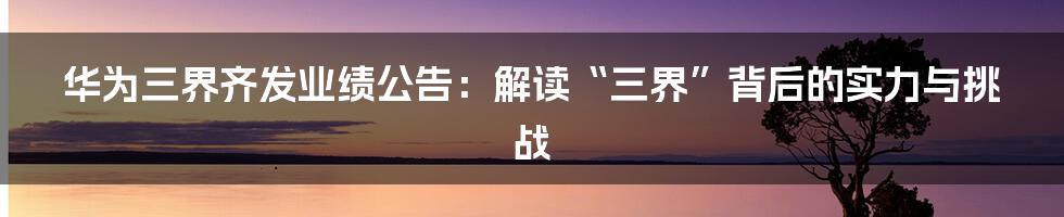 华为三界齐发业绩公告:解读“三界”背后的实力与挑战