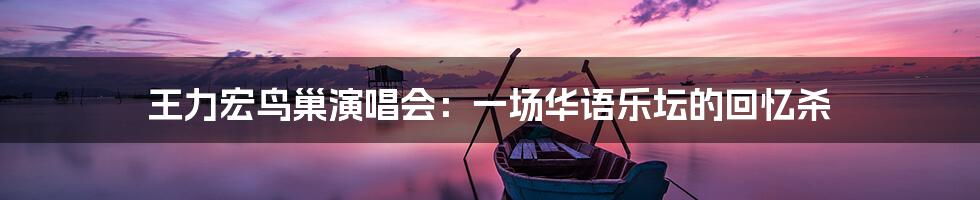 王力宏鸟巢演唱会:一场华语乐坛的回忆杀