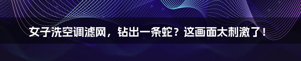 女子洗空调滤网,钻出一条蛇?这画面太刺激了!