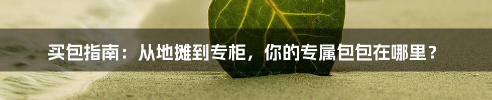 买包指南：从地摊到专柜，你的专属包包在哪里？