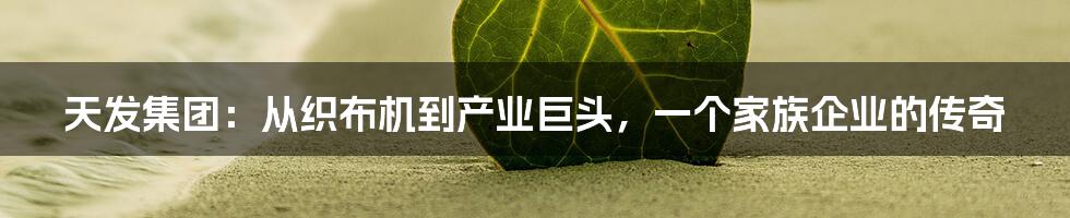 天发集团:从织布机到产业巨头,一个家族企业的传奇