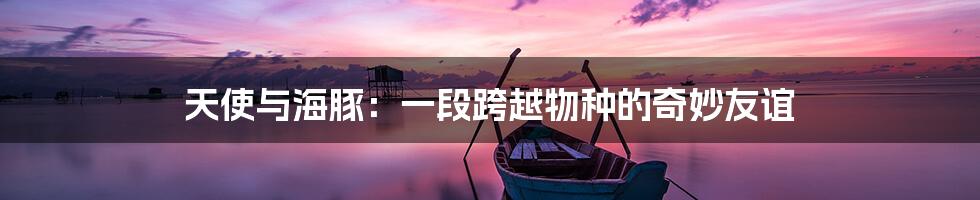 天使与海豚:一段跨越物种的奇妙友谊