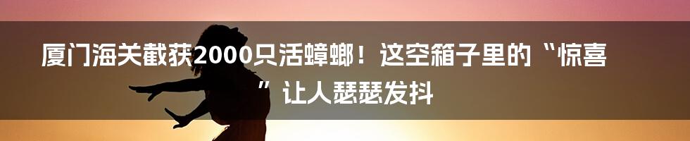 厦门海关截获2000只活蟑螂!这空箱子里的“惊喜”让人瑟瑟发抖