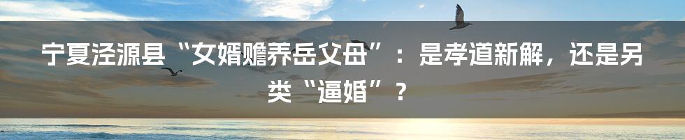 宁夏泾源县“女婿赡养岳父母”：是孝道新解，还是另类“逼婚”？