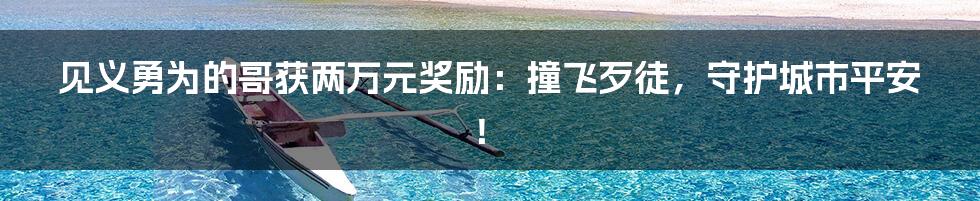 见义勇为的哥获两万元奖励：撞飞歹徒，守护城市平安！