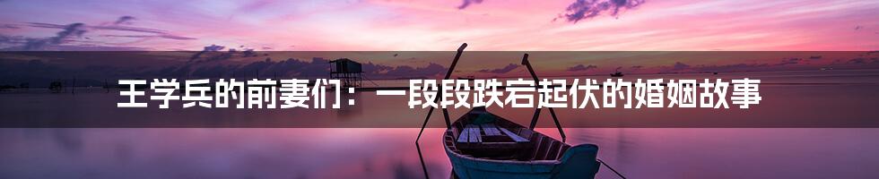 王学兵的前妻们:一段段跌宕起伏的婚姻故事