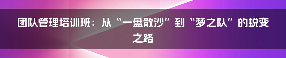 团队管理培训班:从“一盘散沙”到“梦之队”的蜕变之路