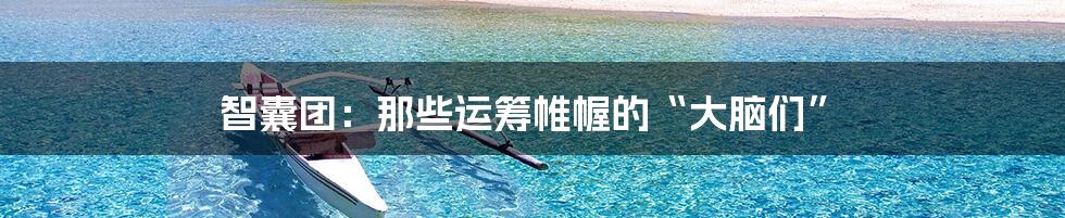 智囊团：那些运筹帷幄的“大脑们”