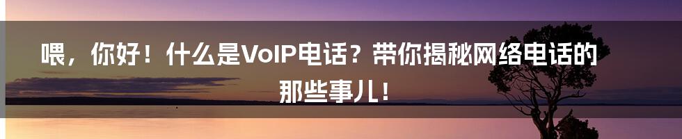 喂,你好!什么是VoIP电话?带你揭秘网络电话的那些事儿!