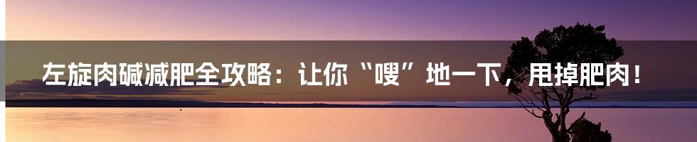 左旋肉碱减肥全攻略:让你“嗖”地一下,甩掉肥肉!