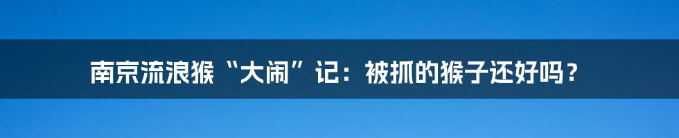 南京流浪猴“大闹”记:被抓的猴子还好吗?