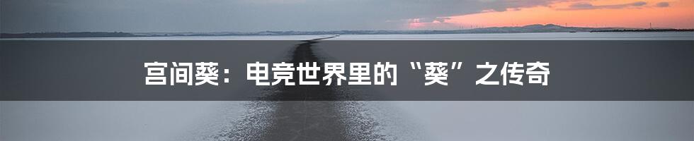 宫间葵:电竞世界里的“葵”之传奇