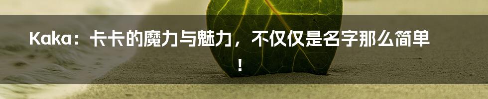 Kaka：卡卡的魔力与魅力，不仅仅是名字那么简单！
