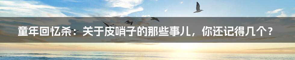 童年回忆杀：关于皮哨子的那些事儿，你还记得几个？