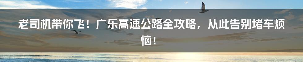 老司机带你飞!广乐高速公路全攻略,从此告别堵车烦恼!