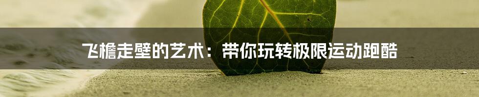 飞檐走壁的艺术：带你玩转极限运动跑酷