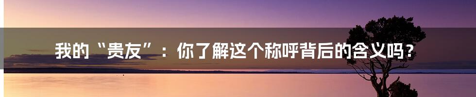 我的“贵友”:你了解这个称呼背后的含义吗?