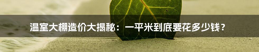 温室大棚造价大揭秘：一平米到底要花多少钱？