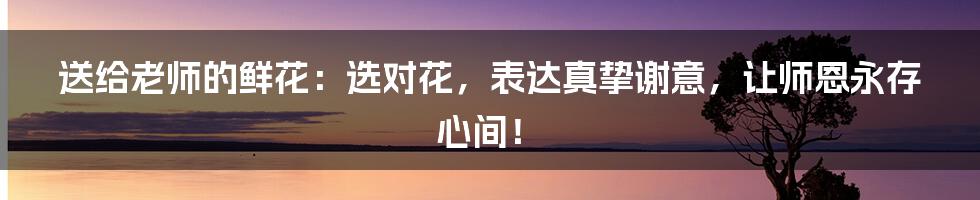 送给老师的鲜花:选对花,表达真挚谢意,让师恩永存心间!