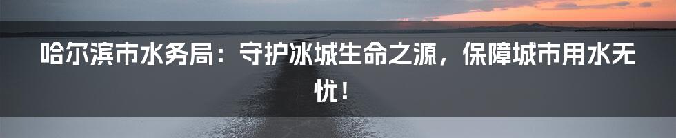 哈尔滨市水务局:守护冰城生命之源,保障城市用水无忧!