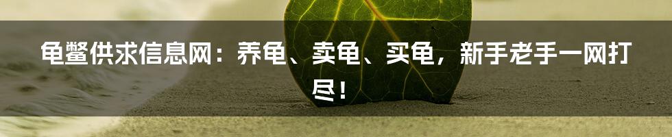 龟鳖供求信息网：养龟、卖龟、买龟，新手老手一网打尽！