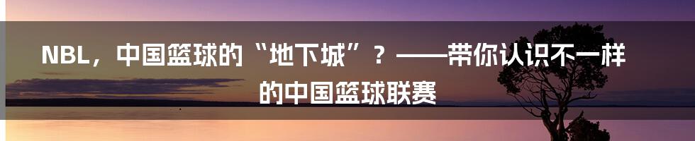 NBL,中国篮球的“地下城”?——带你认识不一样的中国篮球联赛
