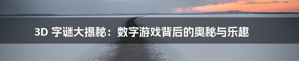 3D 字谜大揭秘:数字游戏背后的奥秘与乐趣