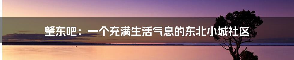 肇东吧:一个充满生活气息的东北小城社区