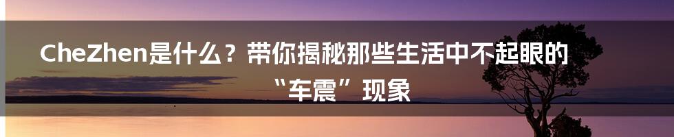 CheZhen是什么？带你揭秘那些生活中不起眼的“车震”现象