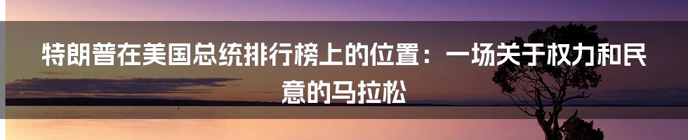 特朗普在美国总统排行榜上的位置：一场关于权力和民意的马拉松