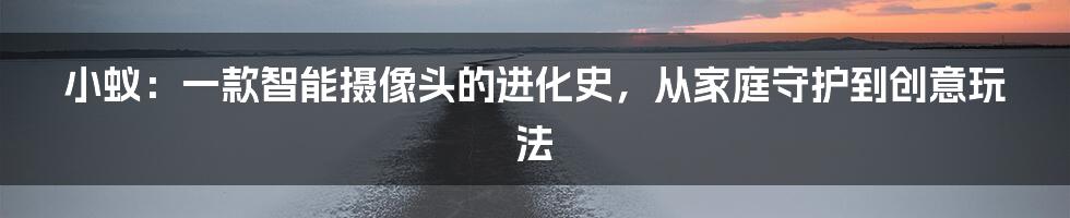 小蚁:一款智能摄像头的进化史,从家庭守护到创意玩法