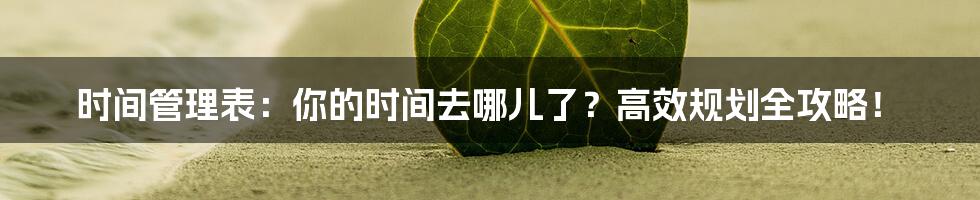 时间管理表：你的时间去哪儿了？高效规划全攻略！