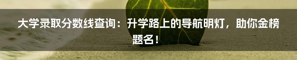 大学录取分数线查询：升学路上的导航明灯，助你金榜题名！