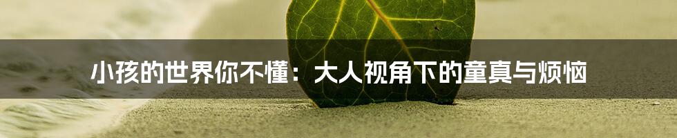 小孩的世界你不懂:大人视角下的童真与烦恼