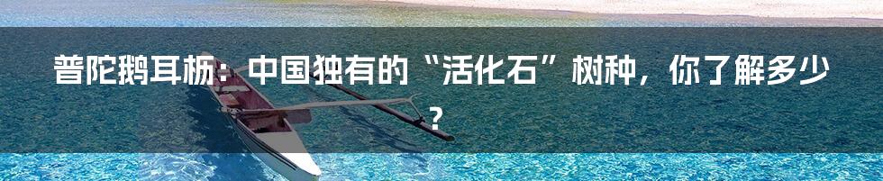普陀鹅耳枥:中国独有的“活化石”树种,你了解多少?