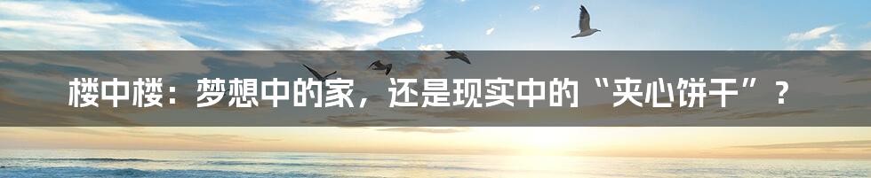 楼中楼:梦想中的家,还是现实中的“夹心饼干”?