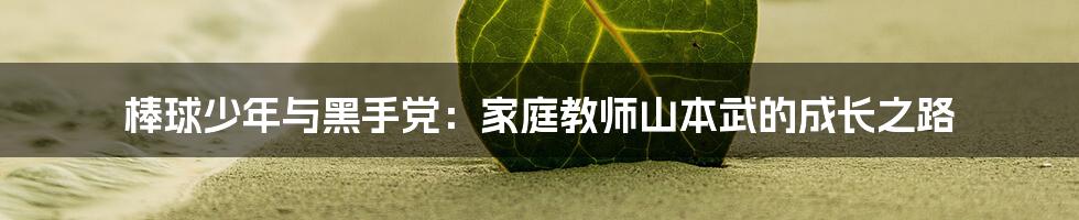 棒球少年与黑手党:家庭教师山本武的成长之路