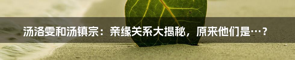 汤洛雯和汤镇宗：亲缘关系大揭秘，原来他们是…？