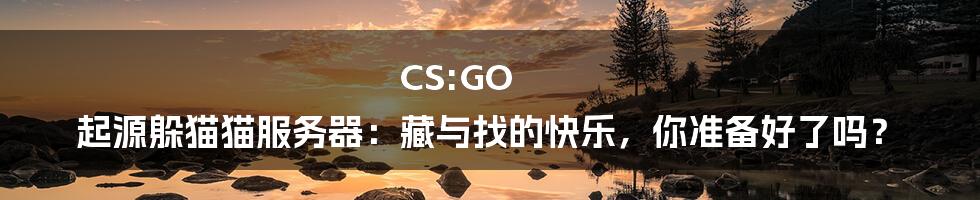 CS:GO 起源躲猫猫服务器:藏与找的快乐,你准备好了吗?